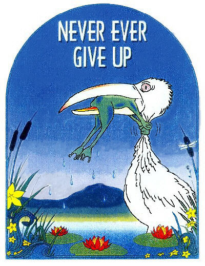 Never Ever Give Up